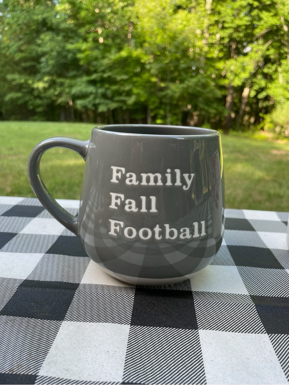Gray 'Family Fall Football' Ceramic Mug